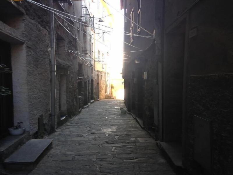 il Magàn - Cinque Terre - Genel