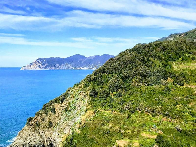 il Magàn - Cinque Terre - Oda
