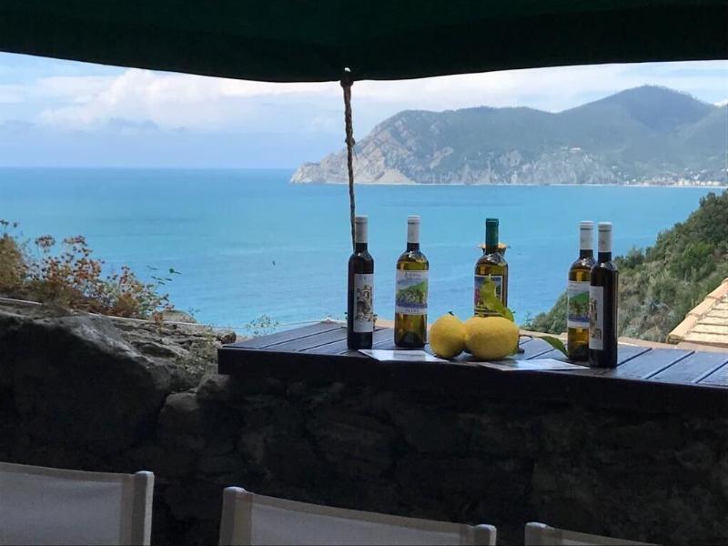 il Magàn - Cinque Terre - Teras