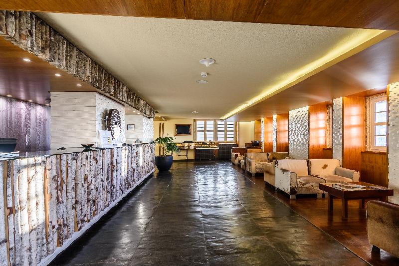 Hotel Serra da Estrela - Lobi