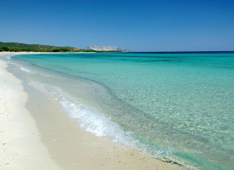 Stella Marina Camere Sul Mare - Aktivite