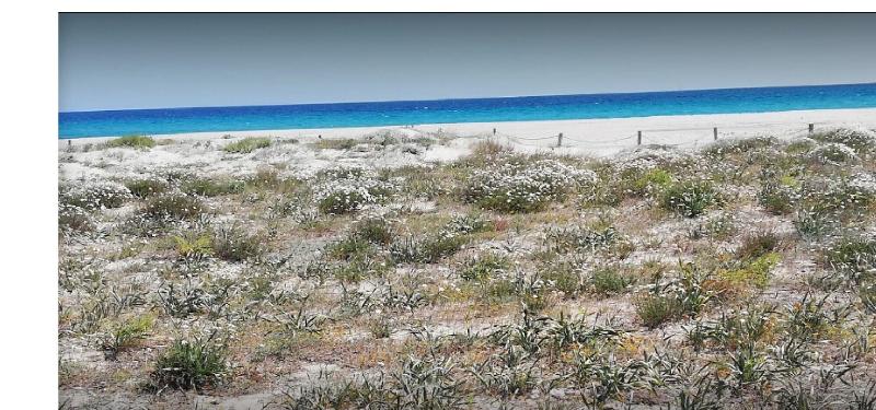 Stella Marina Camere Sul Mare - Genel