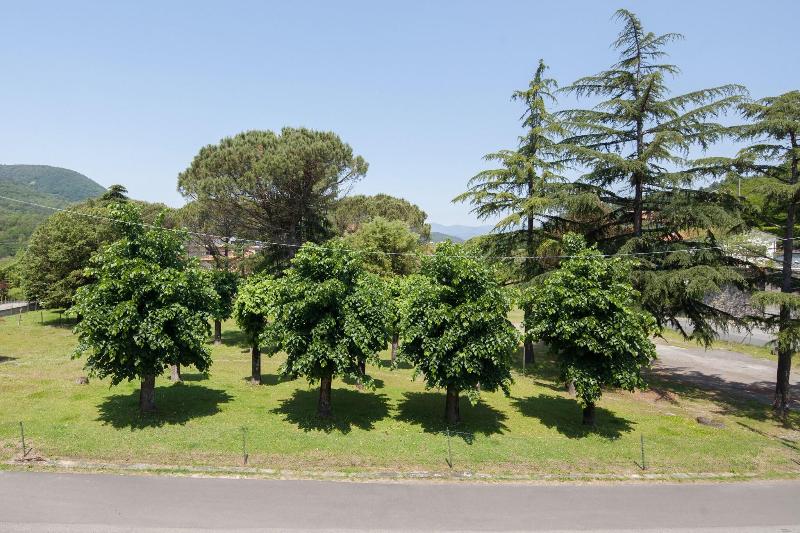 Hotel Nella - Teras