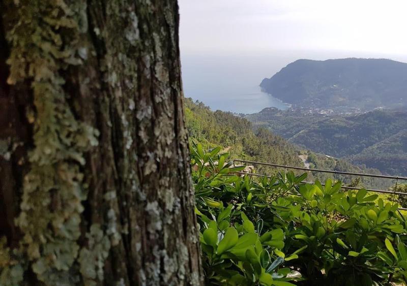 Santuario Nostra Signora di Soviore -  Casa per Fe - Genel