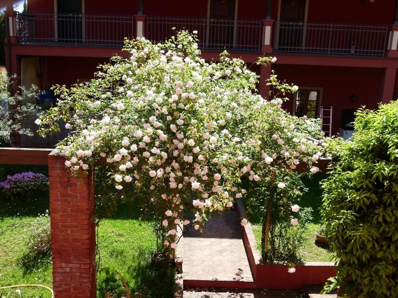 Albergo Ristorante Ama La Luna - Oda