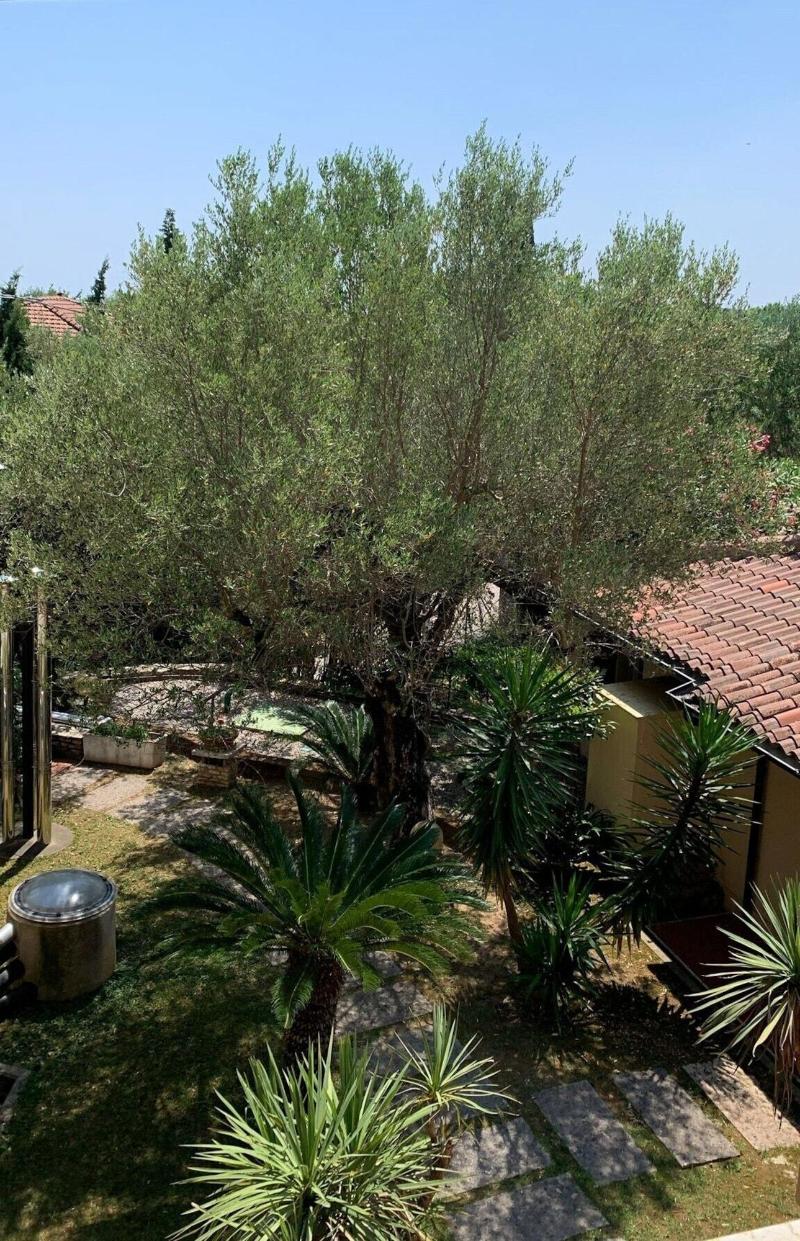 Hotel Ideal - Oda