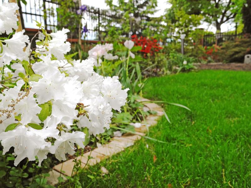 B&B Dimora Morelli - Genel