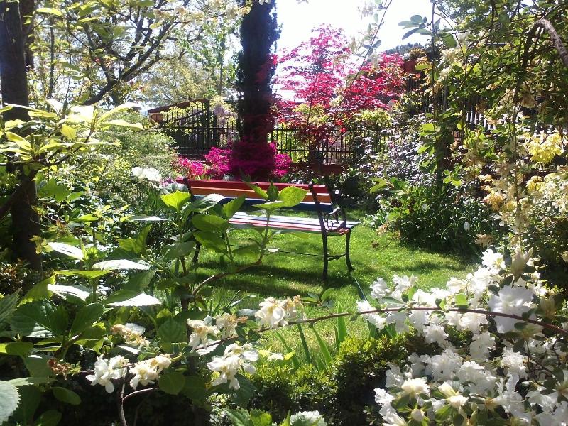 B&B Dimora Morelli - Genel