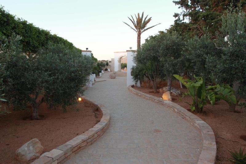 Resort Costa House - Genel