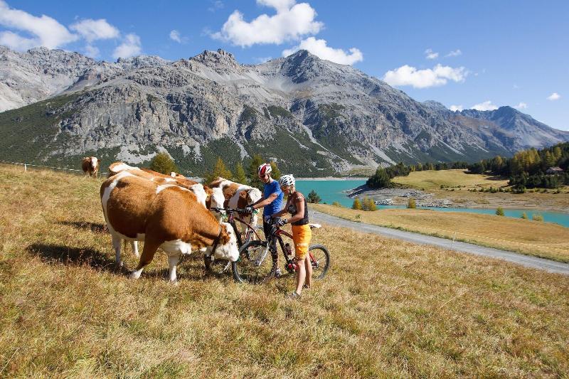 Meublè Garni della Contea - Aktivite