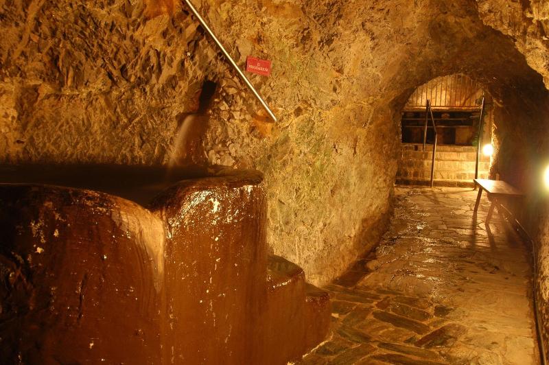 Qc Terme Hotel Bagni Vecchi - Aktivite