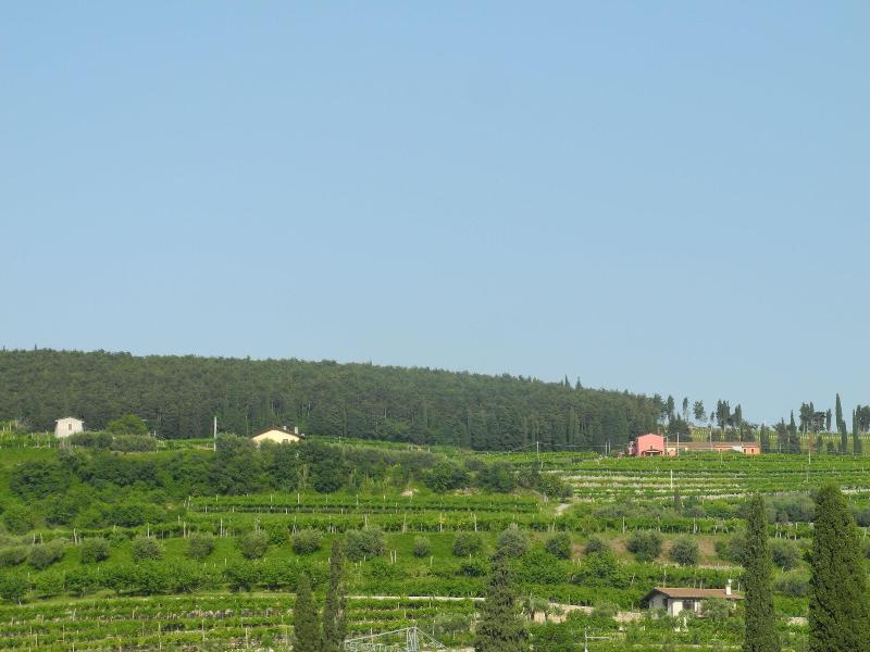 B&B Mimosa e Lillà - Oda