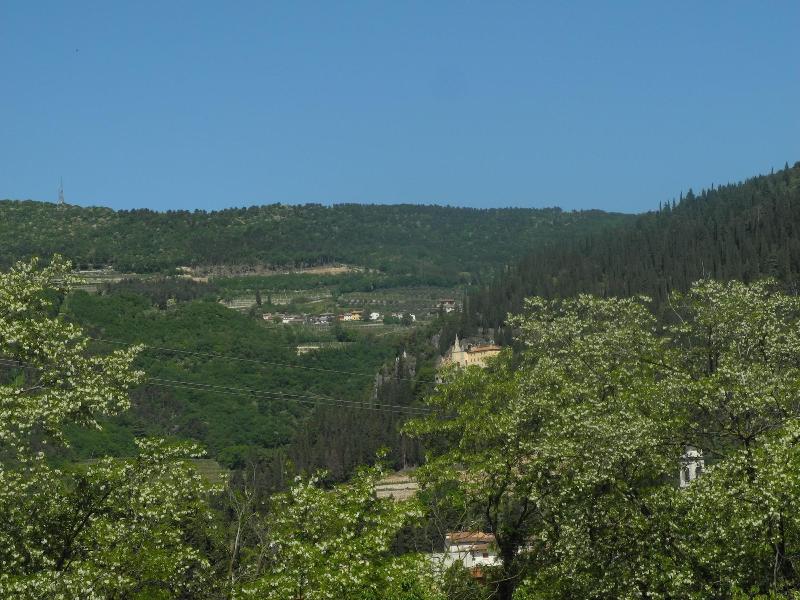 B&B Mimosa e Lillà - Oda
