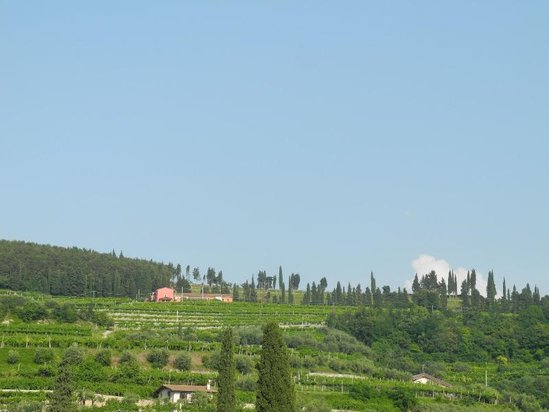 B&B Mimosa e Lillà - Oda