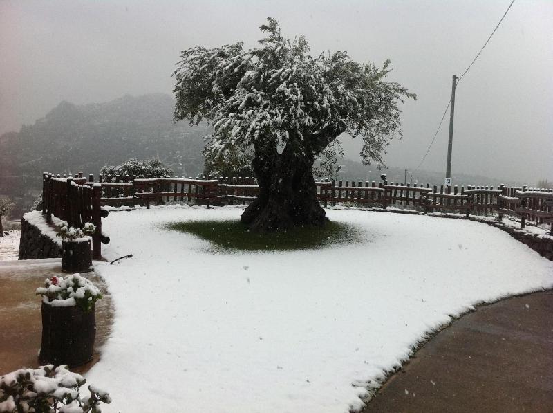 Turismo Rurale Belvedere Pradonos - Genel