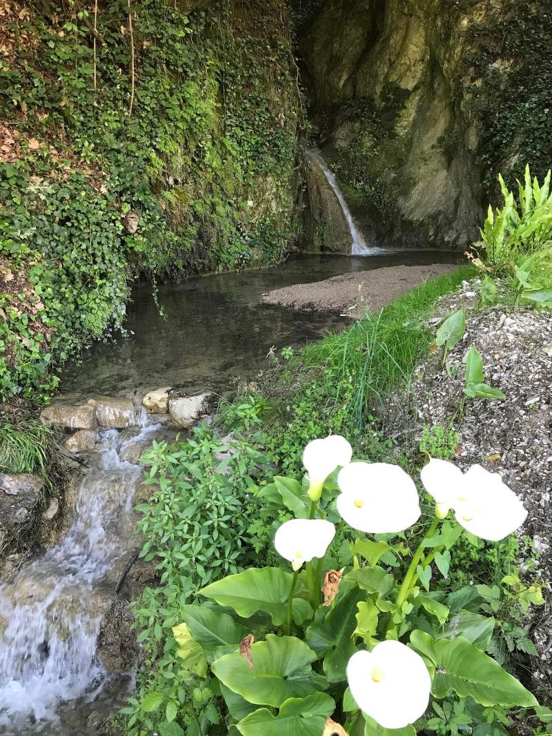La Cascata Negli Ulivi - Genel
