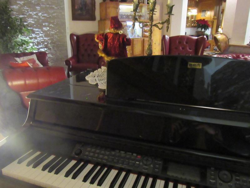 Park Hotel Arnica - Lobi