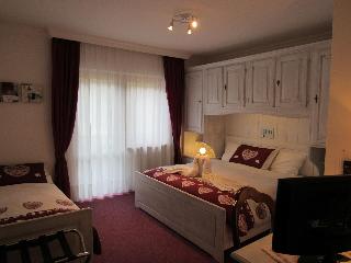 Park Hotel Arnica fotoÄŸrafÄ±