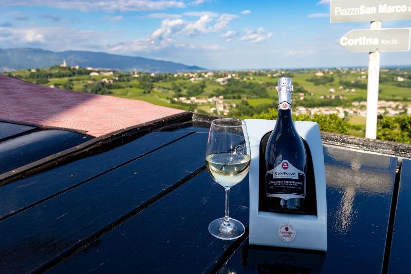 Hotel Villa Del Poggio - Oda