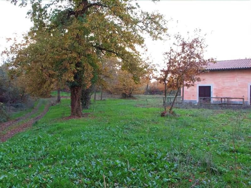 Agriturismo Tenuta Monte La Guardia - Genel