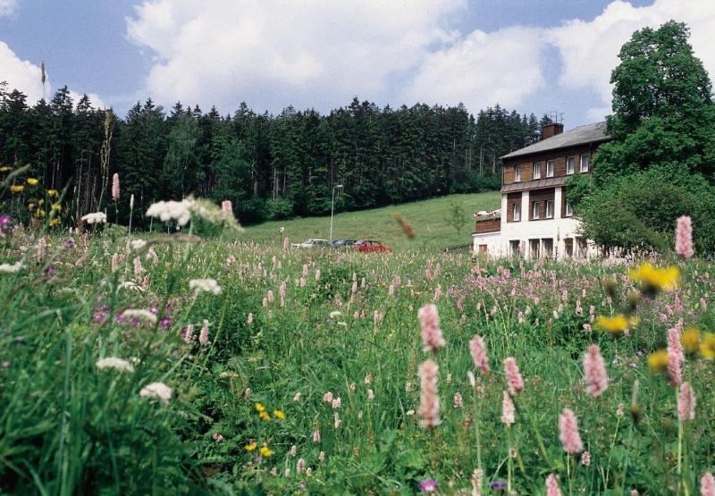 Landhaus Bergidyll - Genel