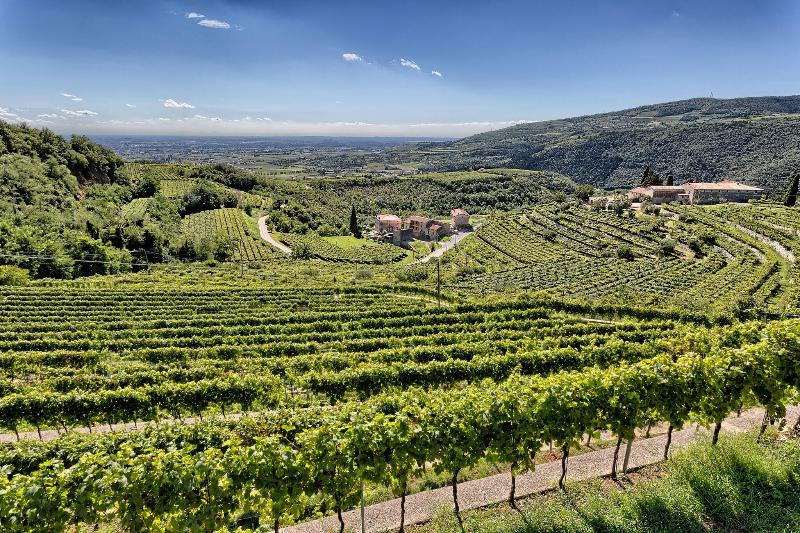 Hotel Valpolicella International - Genel