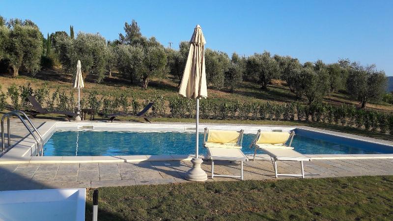 Residenza D'Epoca Villa Agnolaccio - Aktivite