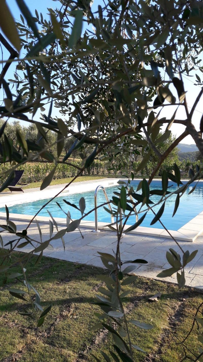Residenza D'Epoca Villa Agnolaccio - Aktivite