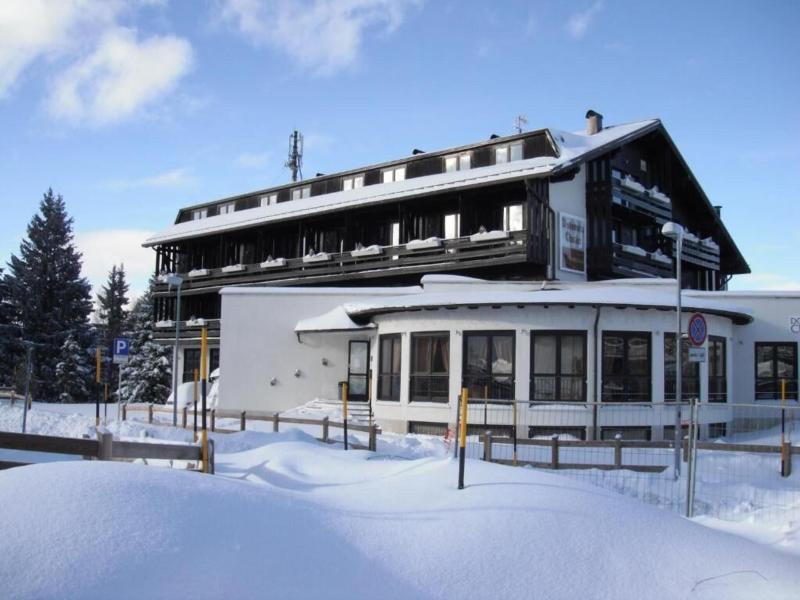 Dolomiti Chalet Hotel - Genel