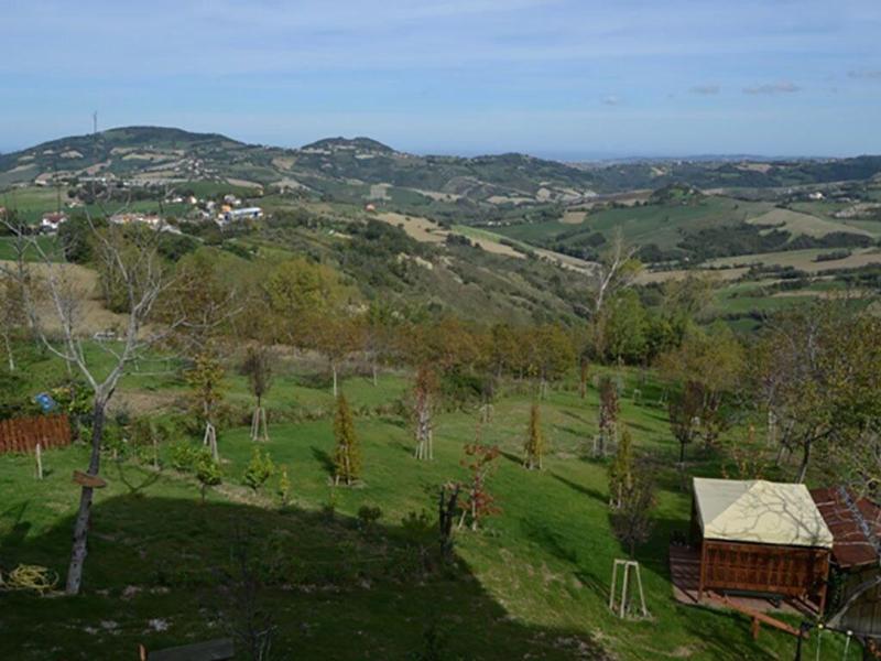 Il Poggetto Piccolo Hotel - Genel