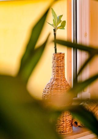 Harzhotel Zum-Prinzen fotoÄŸrafÄ±