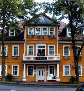 Harzhotel Zum-Prinzen fotoÄŸrafÄ±