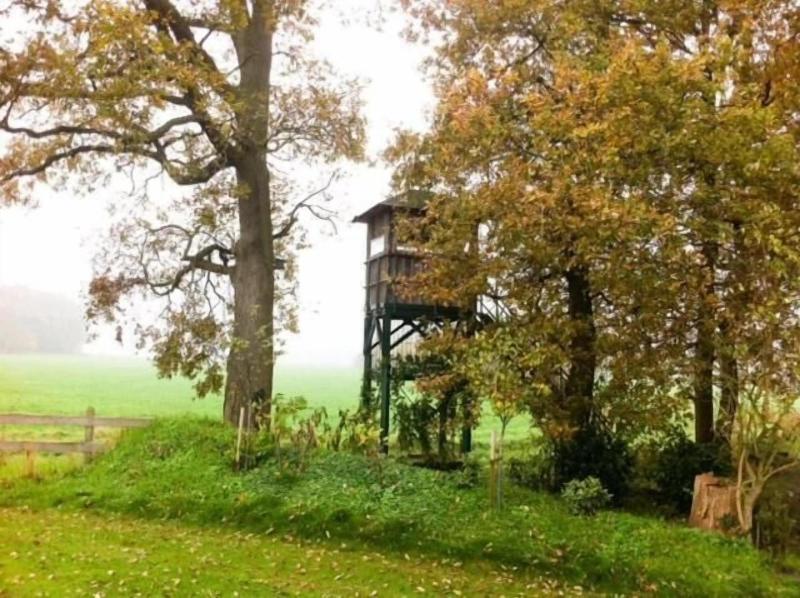 Landhotel Waldseiterhof - Genel