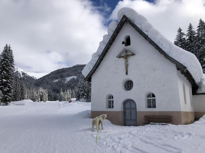 Alpine Touring Hotel - Aktivite