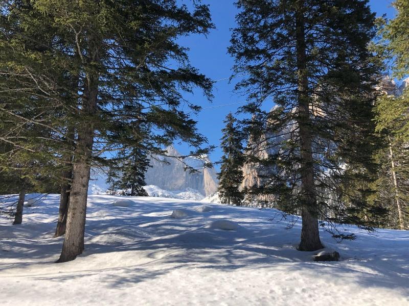 Alpine Touring Hotel - Aktivite