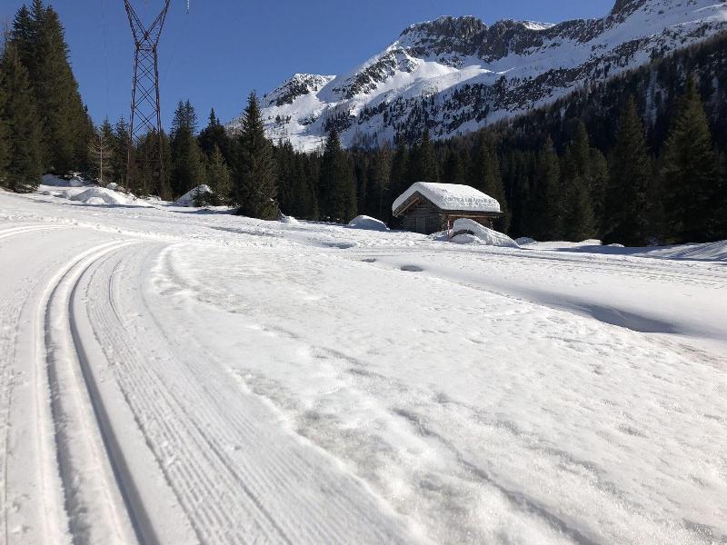 Alpine Touring Hotel - Aktivite