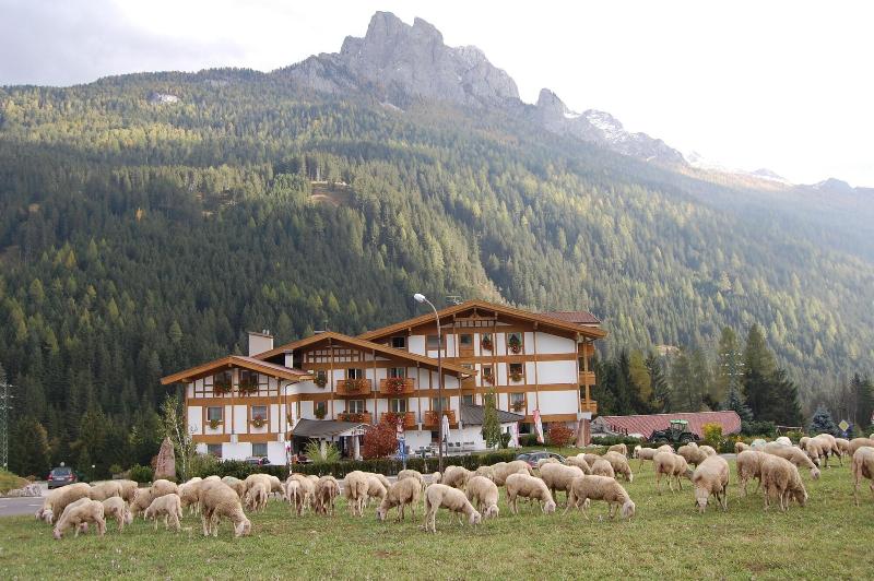 Olympic Spa Hotel - Genel