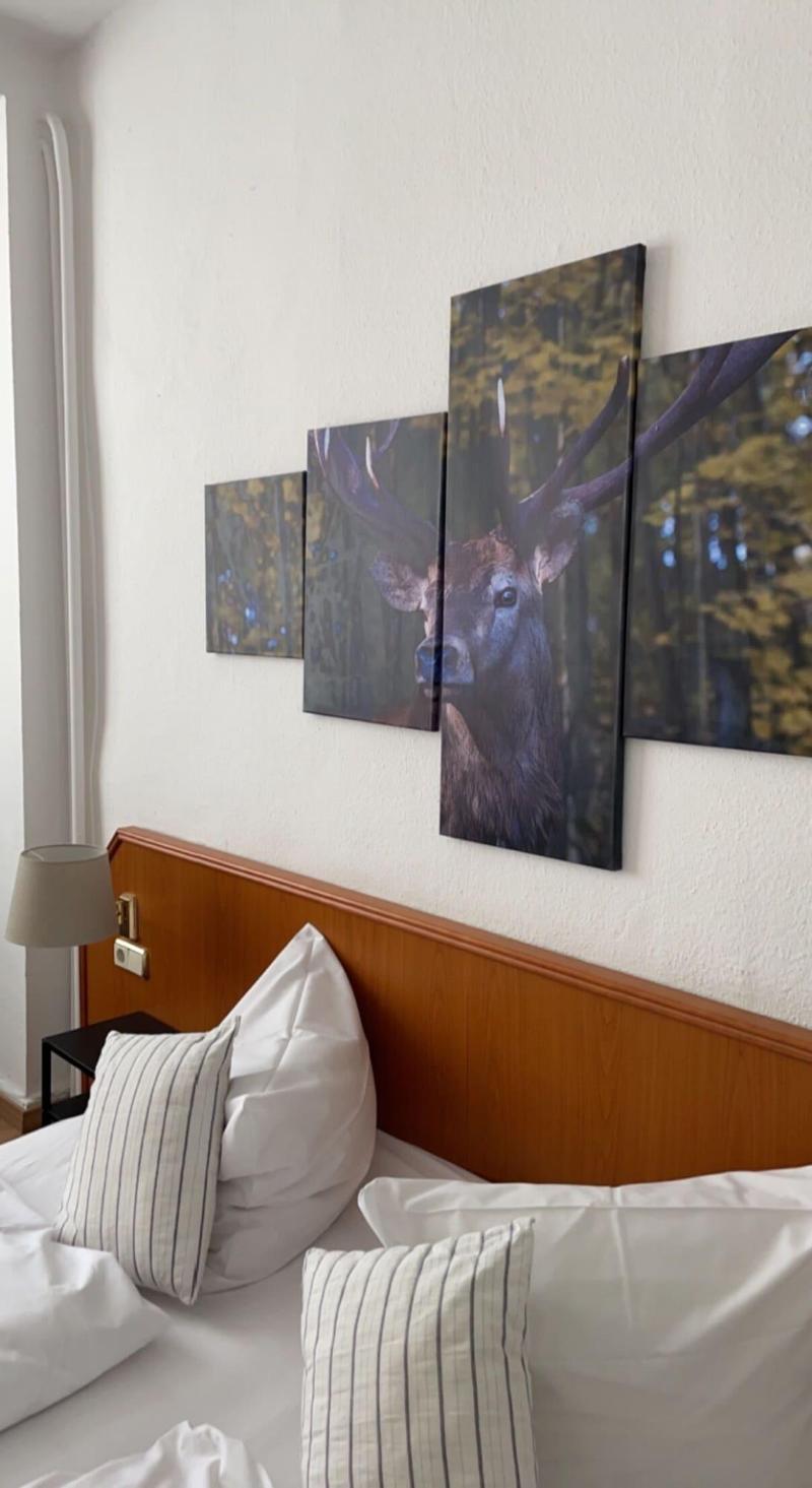 Berghotel Hahnenklee Mit Ferienhaus - Oda
