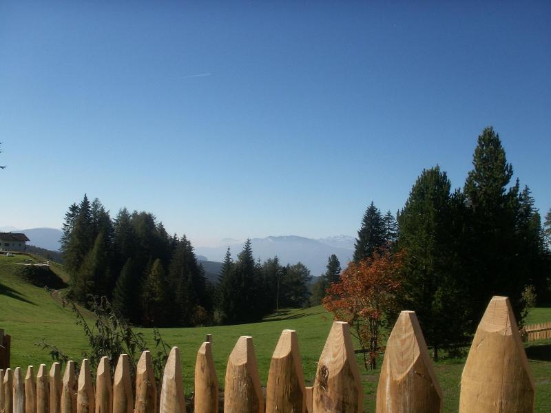 Berghotel Zum Zirm - Genel