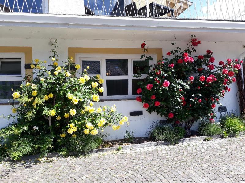 Parc Hotel Florian - Genel