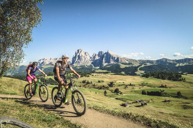 Adler Spa Resort Dolomiti - Genel