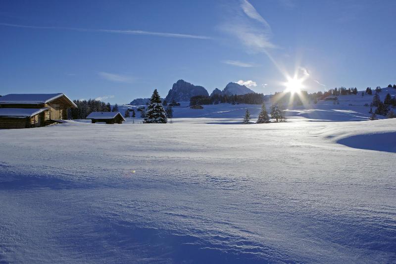 Adler Spa Resort Dolomiti - Oda
