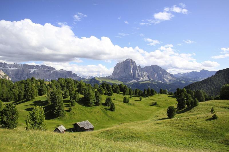 Adler Spa Resort Dolomiti - Oda