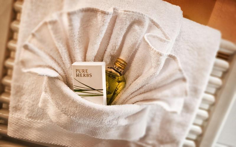Alpin & Vital Hotel La Perla - Oda
