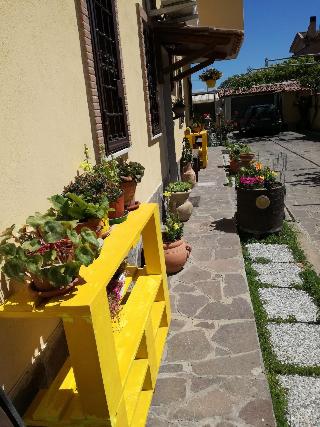 The Yellow House fotoÄŸrafÄ±