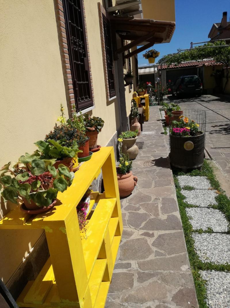 The Yellow House - Genel