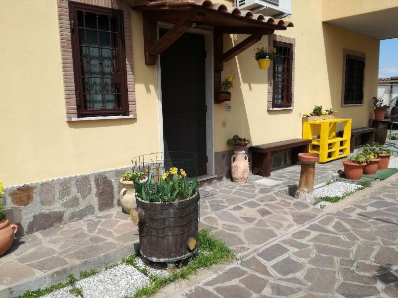 The Yellow House - Genel