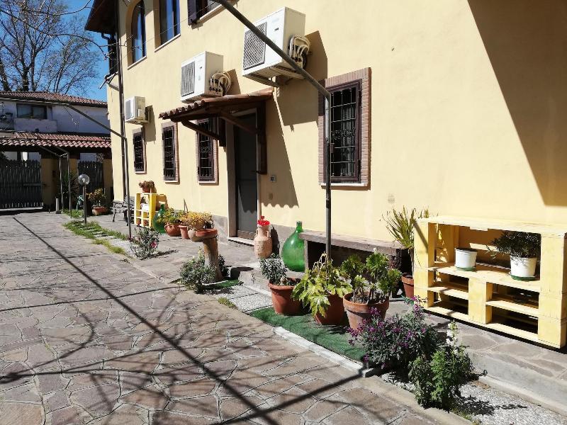 The Yellow House - Genel