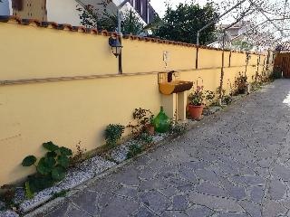 The Yellow House fotoÄŸrafÄ±