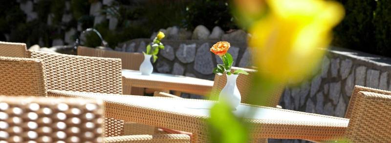 Hotel Hubertushof - Teras